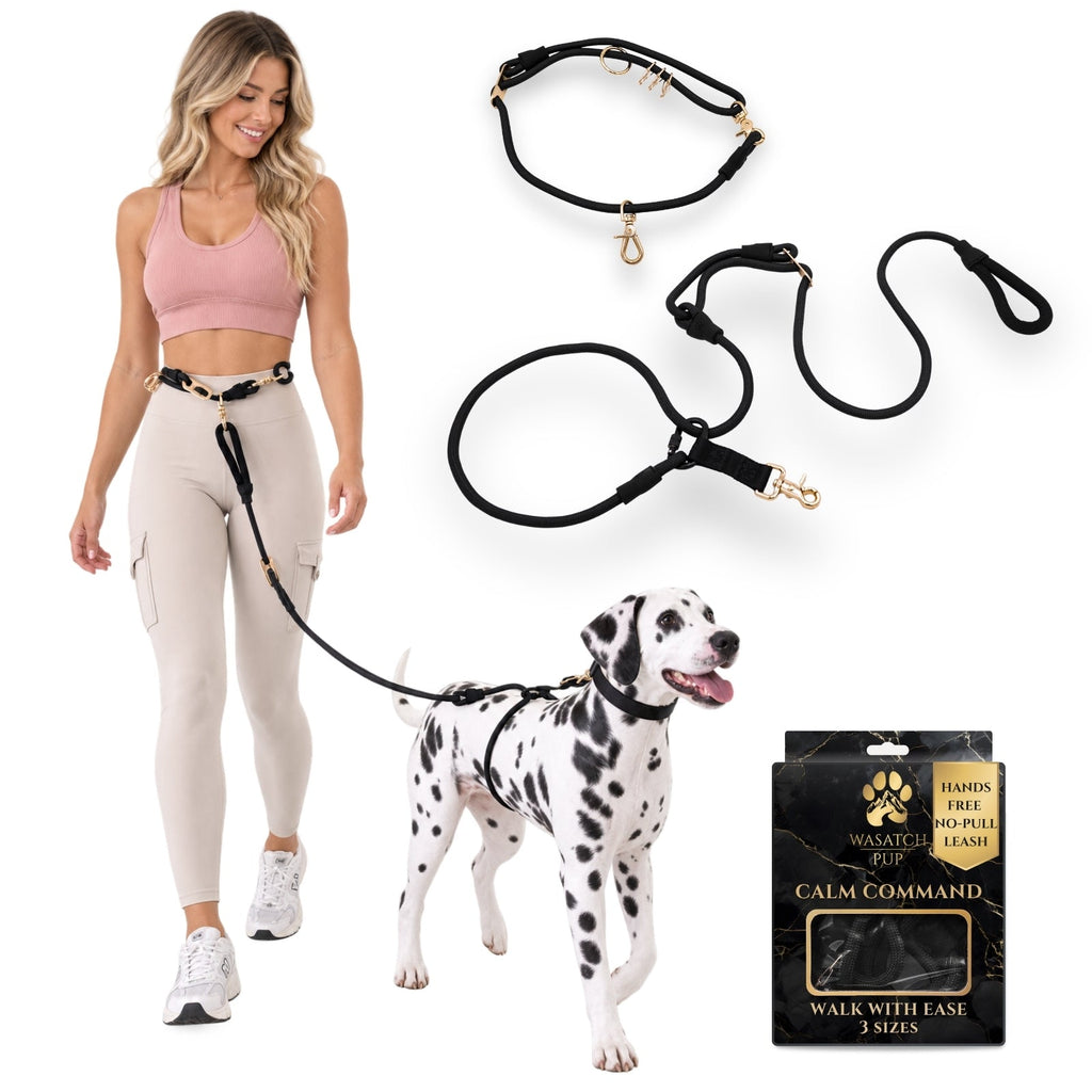 No-Pull Dog Leash product image 1