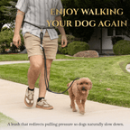 No-Pull Dog Leash product image 2