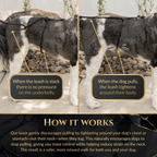 No-Pull Dog Leash product image 4