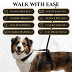 No-Pull Dog Leash product image 5