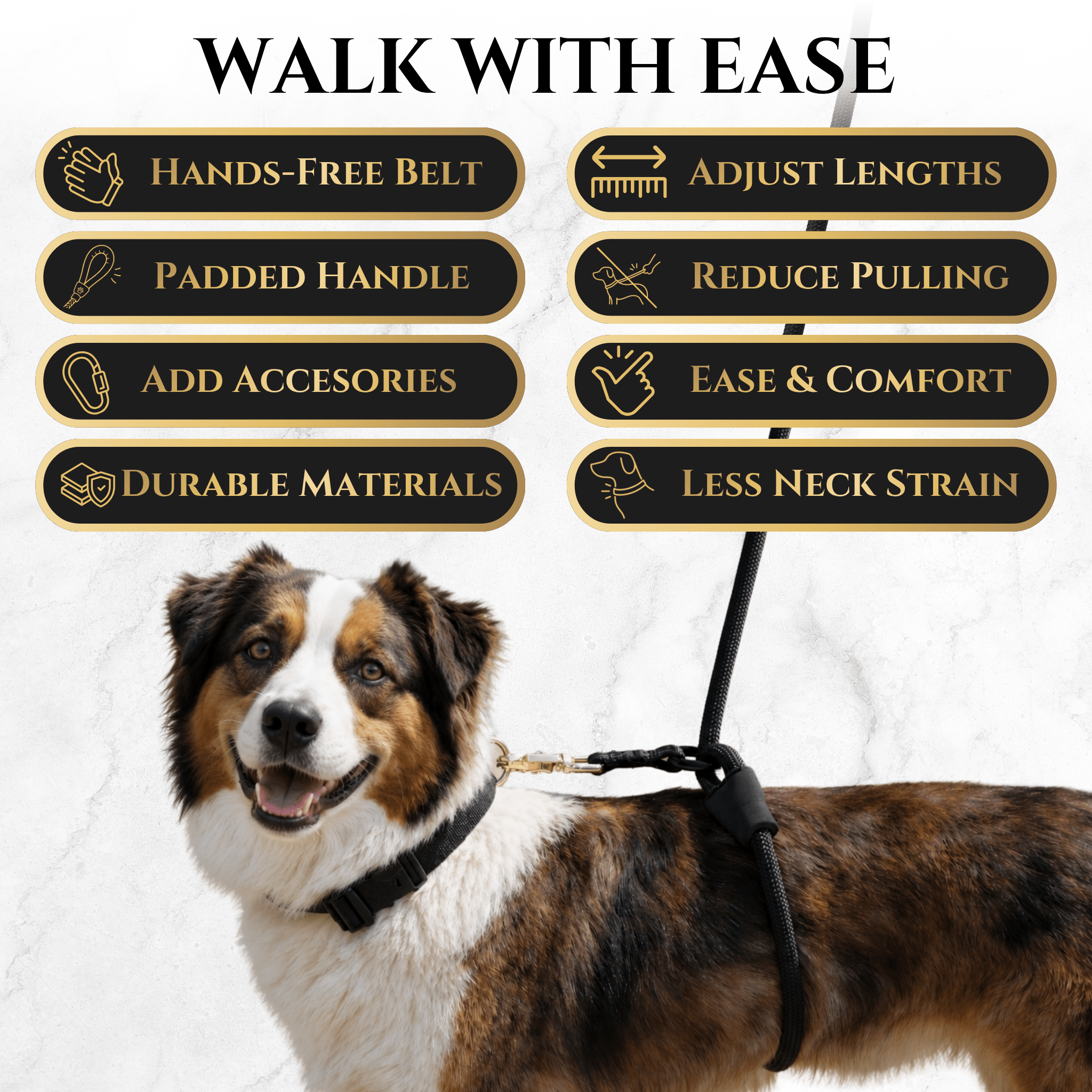 No-Pull Dog Leash product image 5