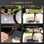 No-Pull Dog Leash product image 8