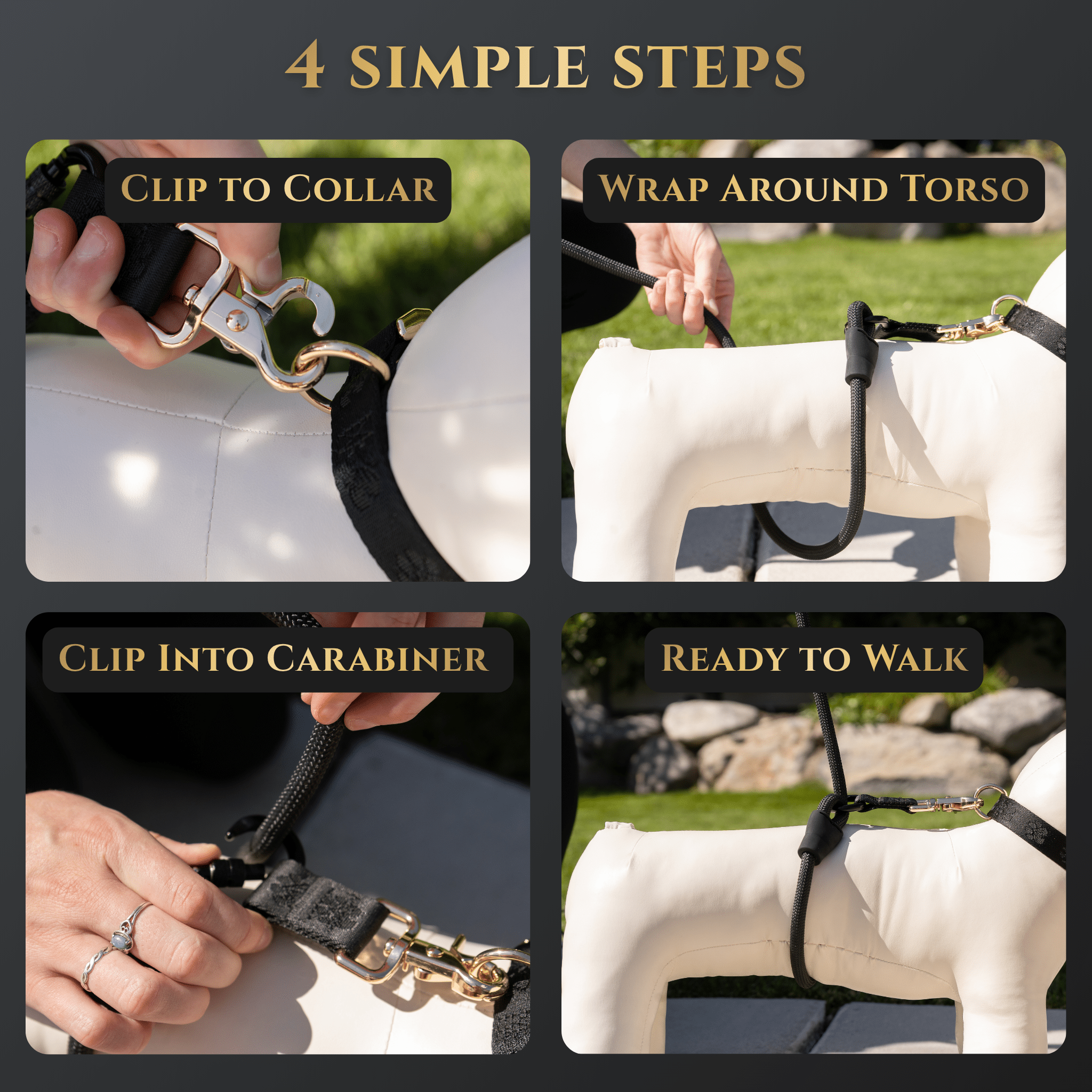 No-Pull Dog Leash product image 8