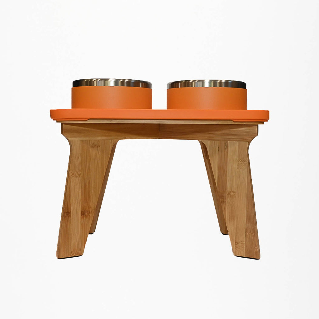 Elevated Pet Slow Feeder and Bowl Set product image 33
