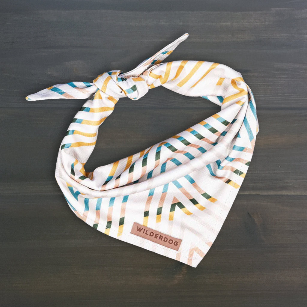 Dog Cooling Bandana product image 1
