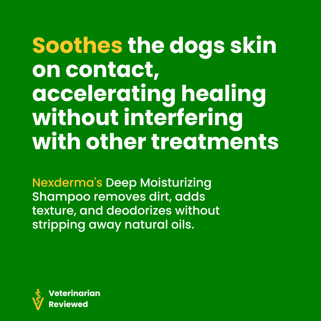 Deep-Moisturizing Dog and Cat Shampoo product image 5