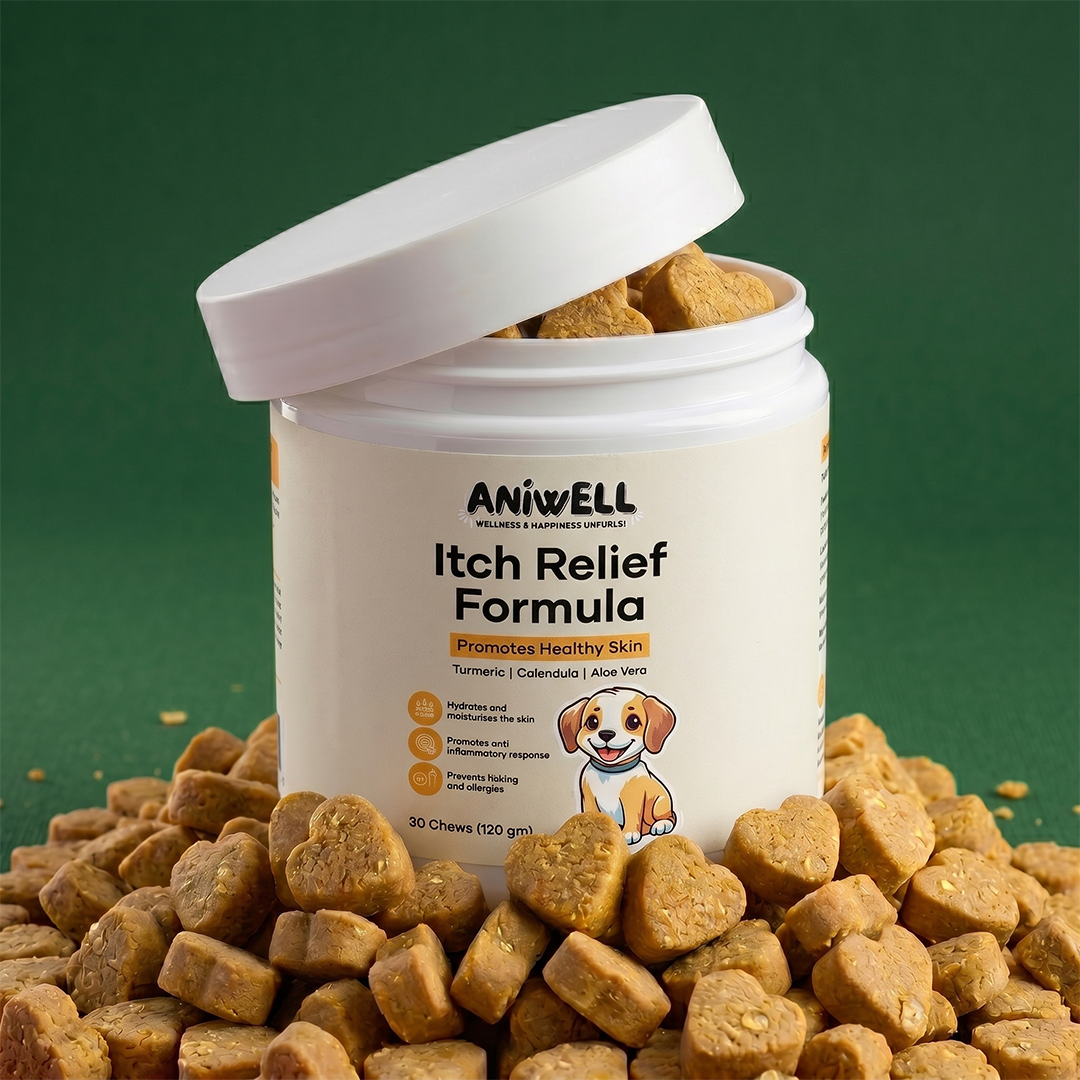 Turmeric and Vitamin E Dog Skin Support Formula product image 1