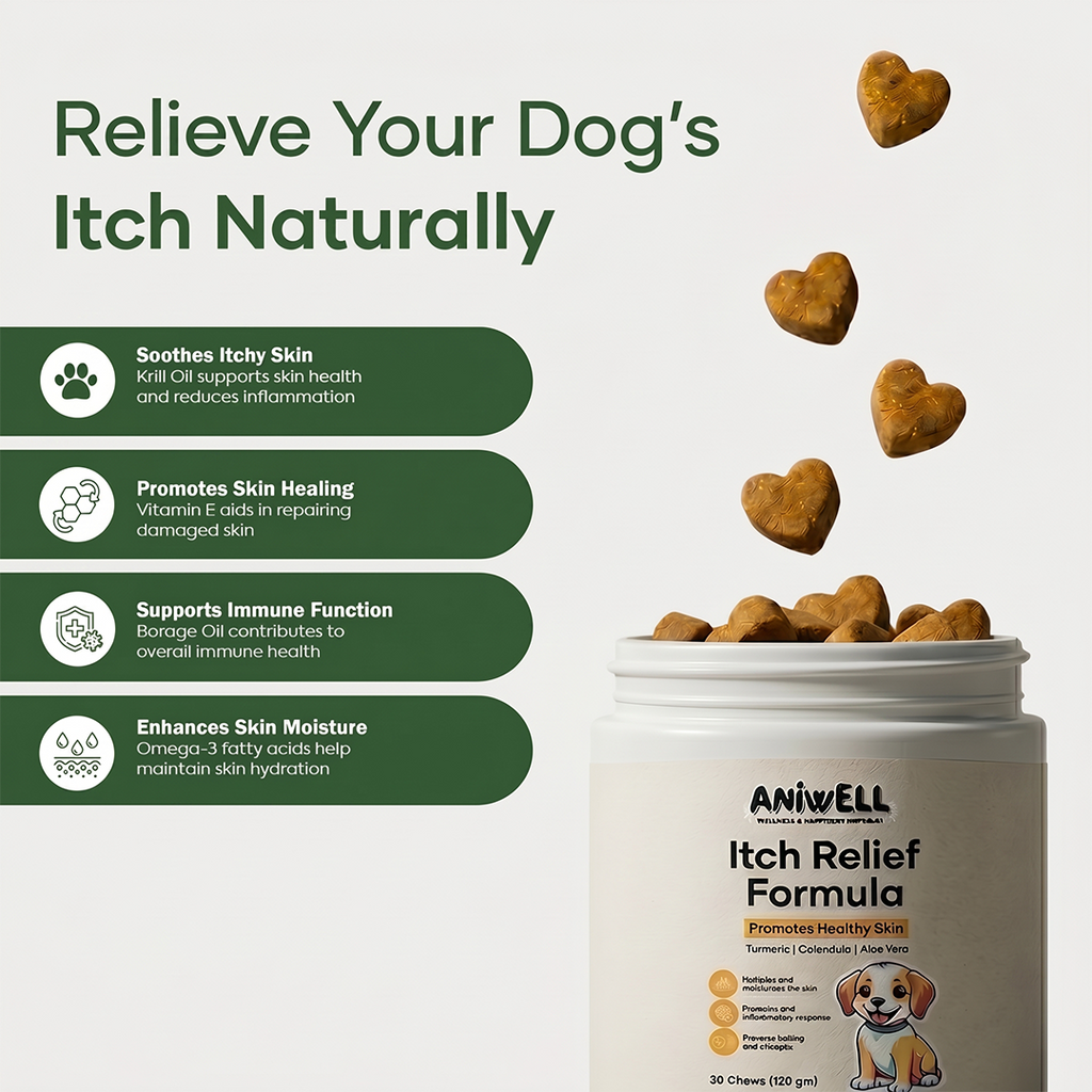 Turmeric and Vitamin E Dog Skin Support Formula product image 6