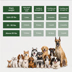 Turmeric and Vitamin E Dog Skin Support Formula product image 8