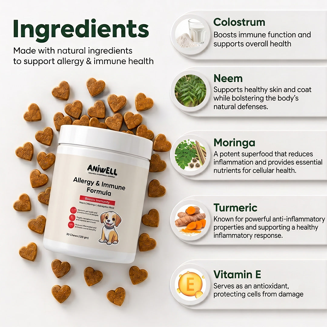 Dog Allergy and Immune Supplement product image 2