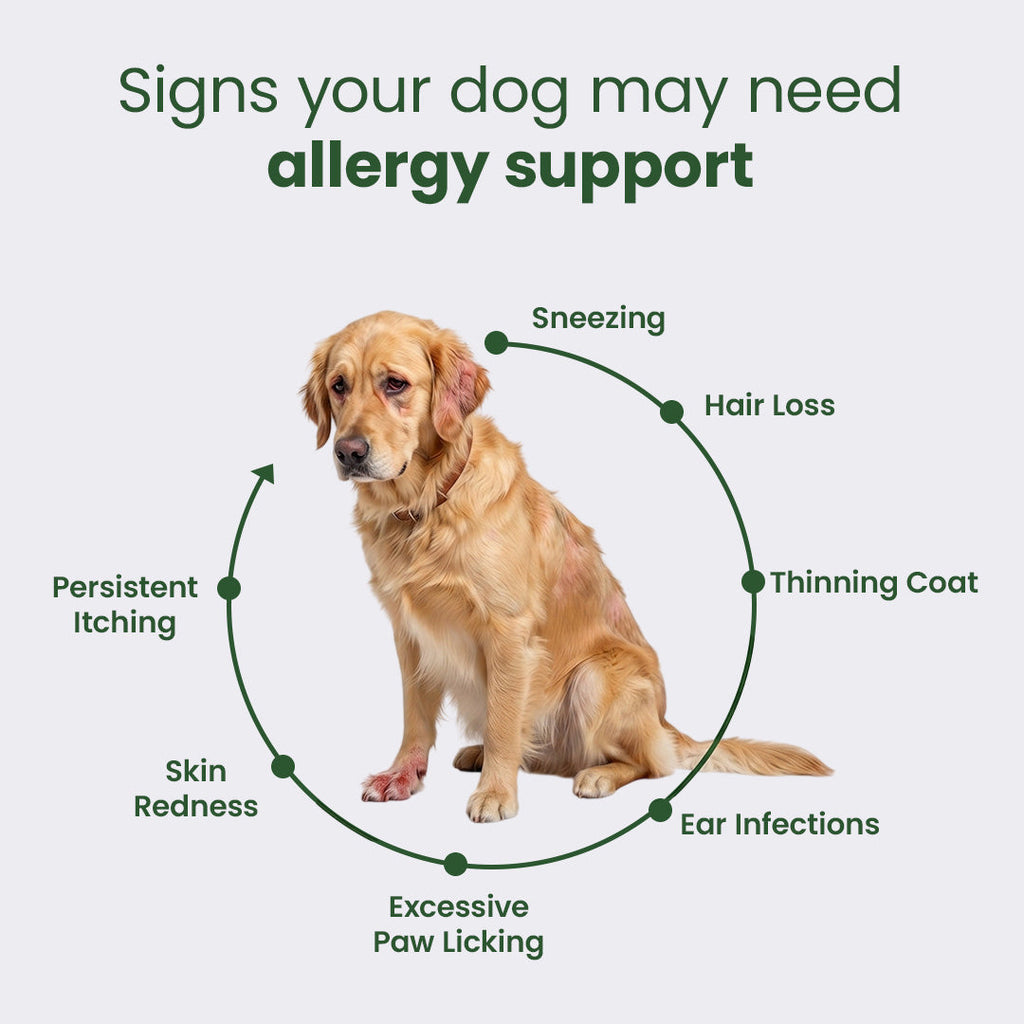 Dog Allergy and Immune Supplement product image 3