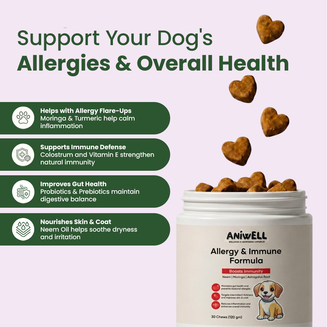 Dog Allergy and Immune Supplement product image 4