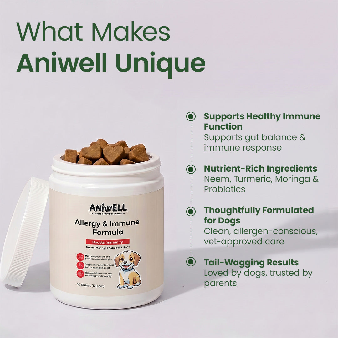 Dog Allergy and Immune Supplement product image 5