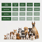 Dog Allergy and Immune Supplement product image 6