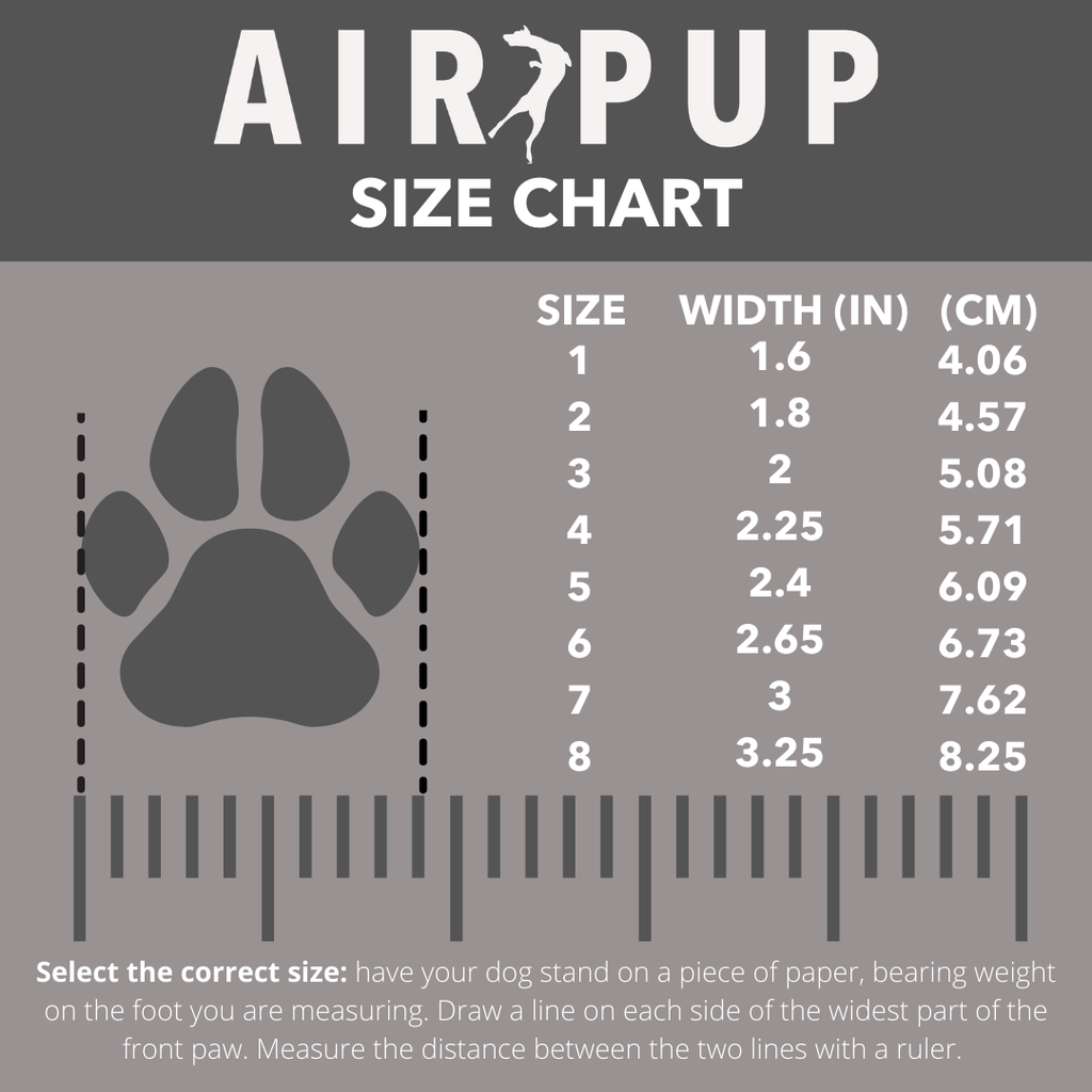 Dog Boot Liner Sock Set product image 5