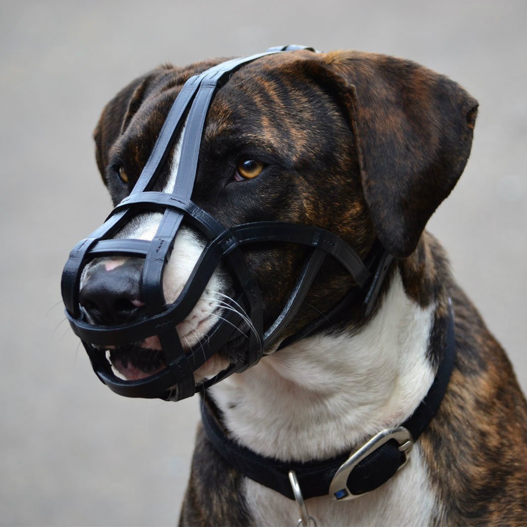 Leather Dog Muzzle product image 1