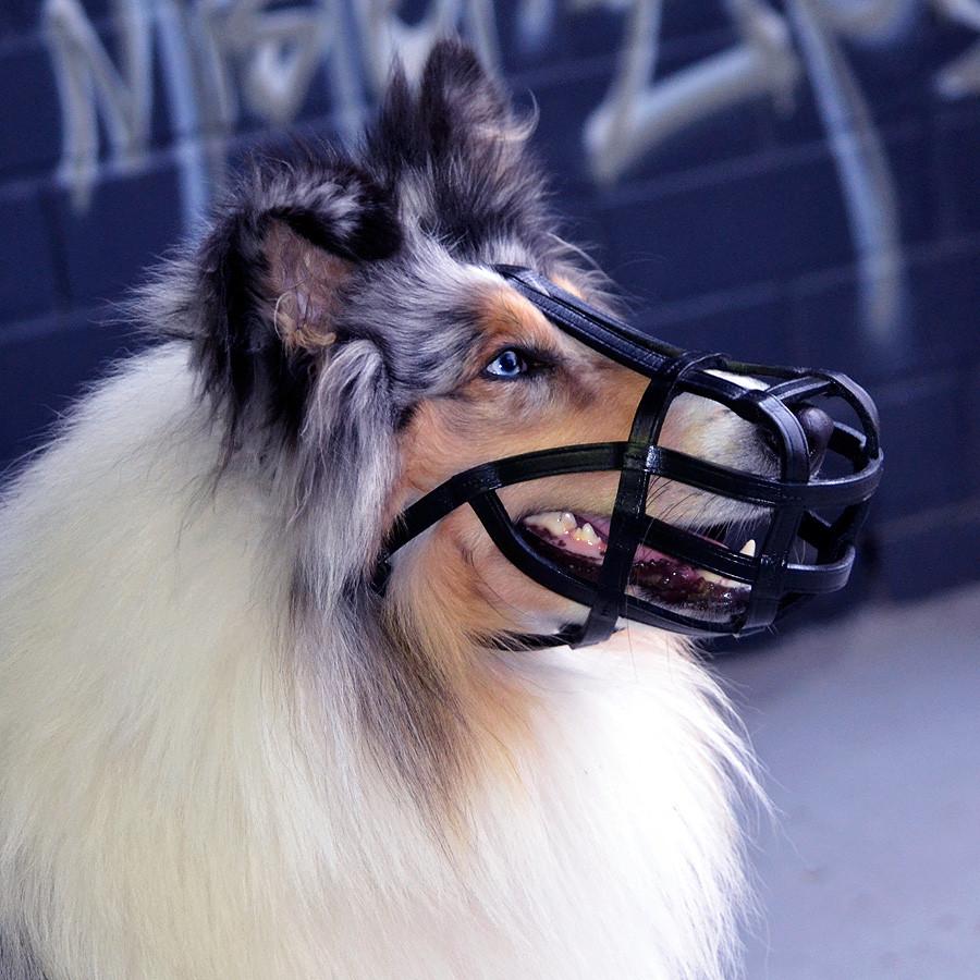 Leather Dog Muzzle product image 4