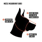 Leather Dog Muzzle product image 7