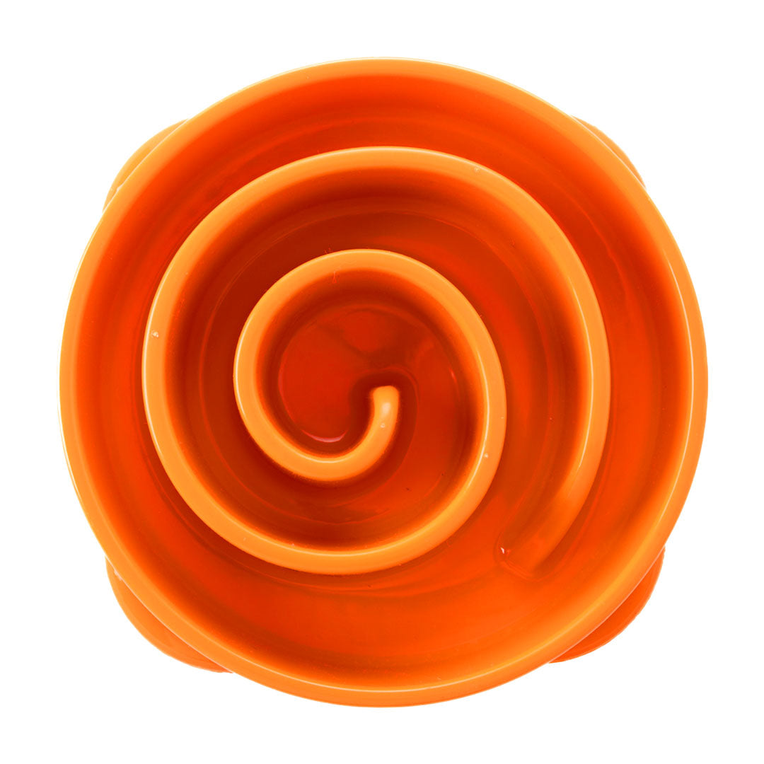 Slow Feeder Bowl product image 1