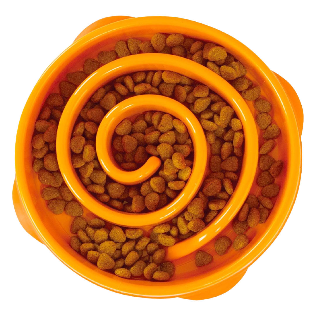 Slow Feeder Bowl product image 2
