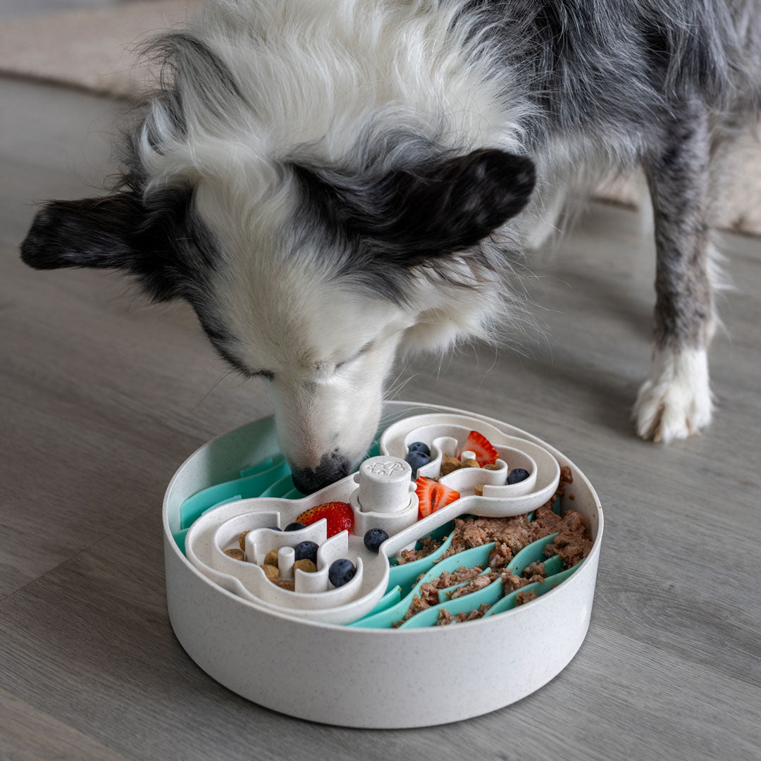 Dog Puzzle Feeder product image 3