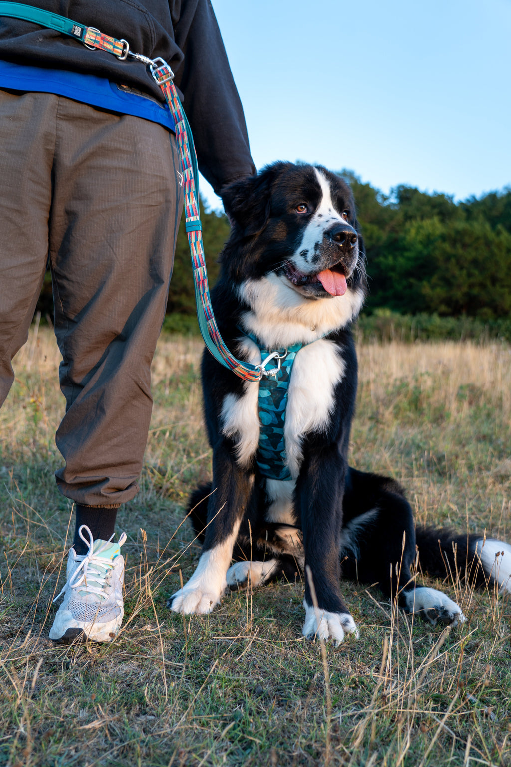 Adjustable Multi-Way Dog Leash product image 7