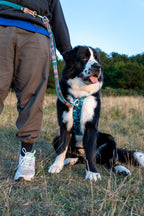 Adjustable Multi-Way Dog Leash product image 7