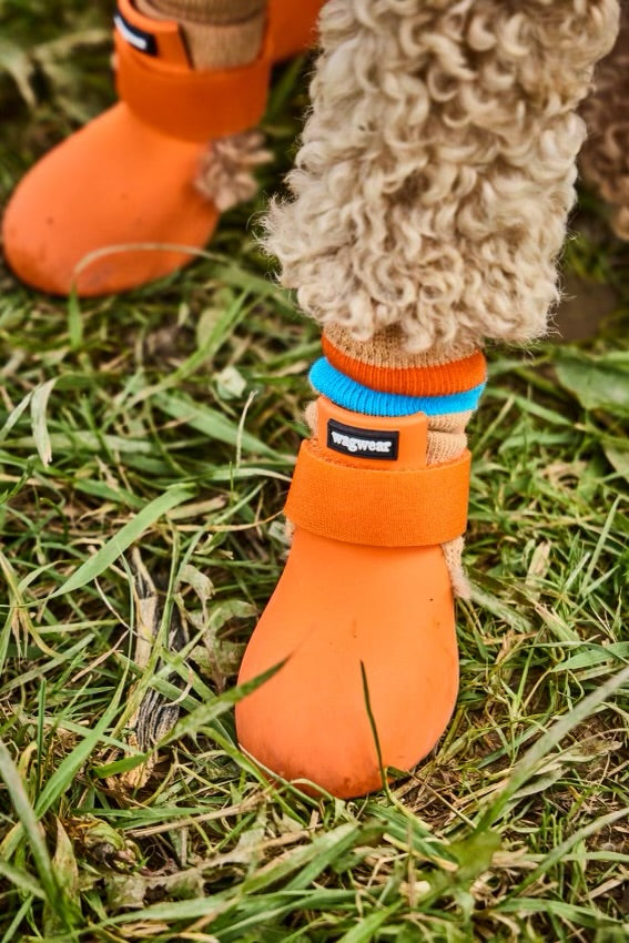 Dog Calf Protector product image 10