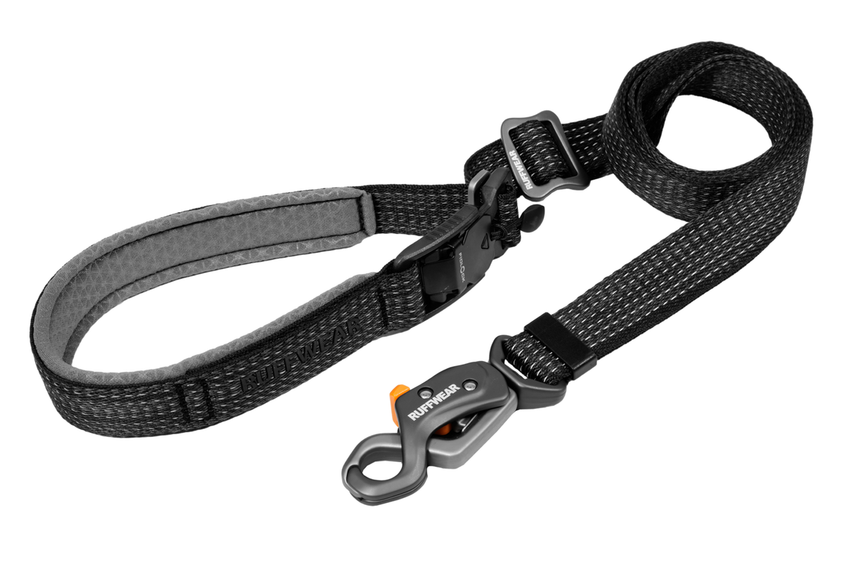 Hands-Free Dog Leash product image 1
