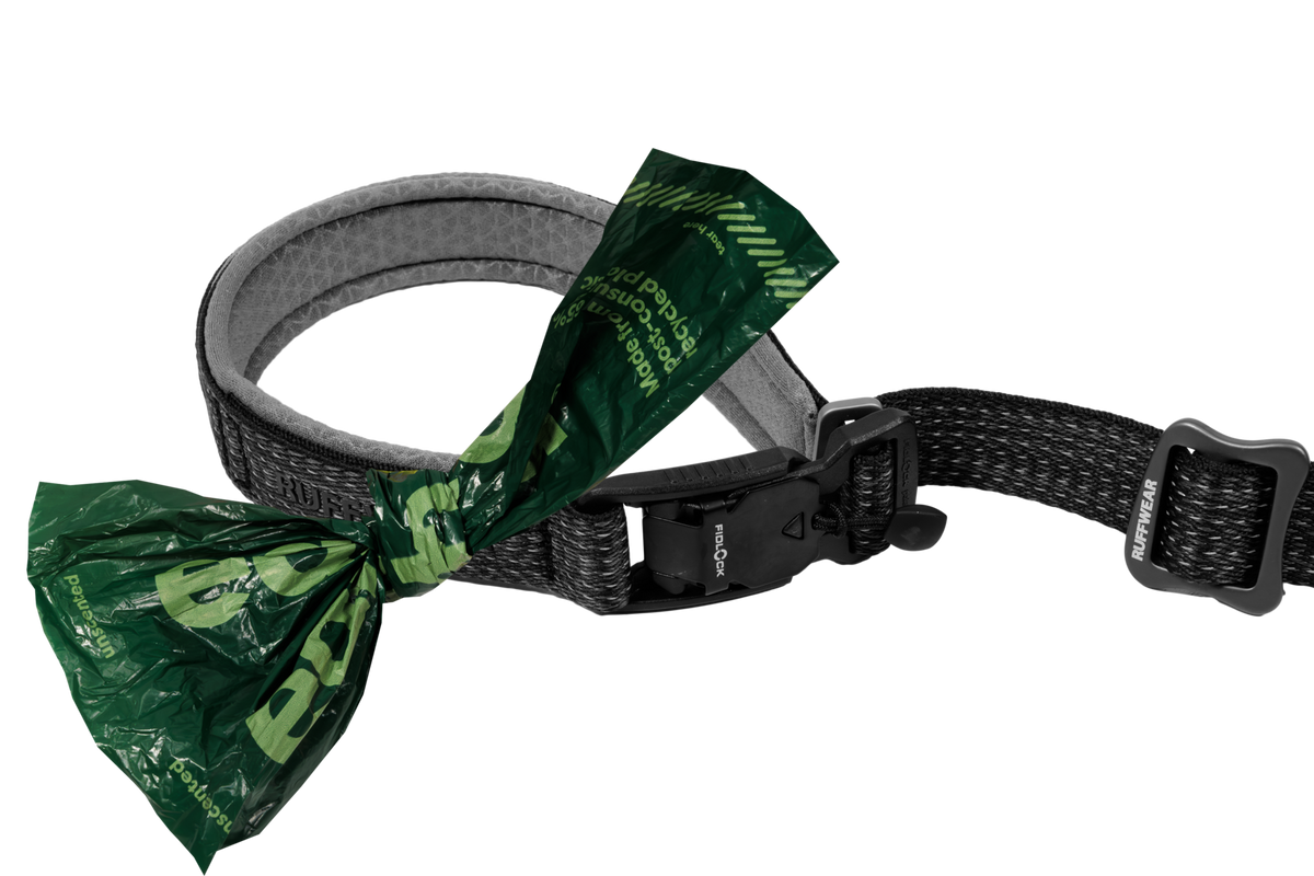 Hands-Free Dog Leash product image 5