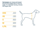 Dog Harness product image 11