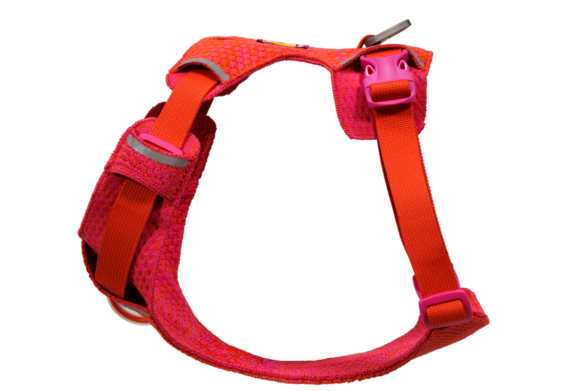 Dog Harness product image 8