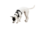Dog Harness product image 26