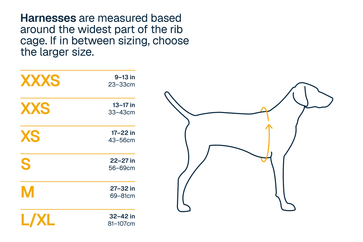 Dog Harness product image 30