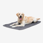 Dog Travel Mat product image 1