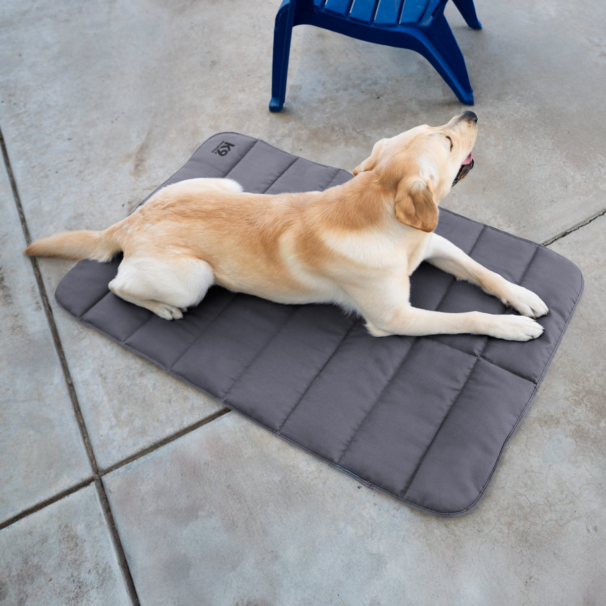 Dog Travel Mat product image 3