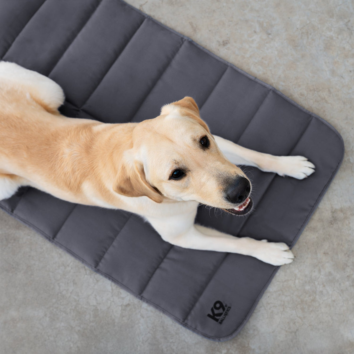 Dog Travel Mat product image 4