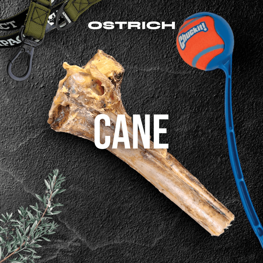 Ostrich Dog Treats product image 3