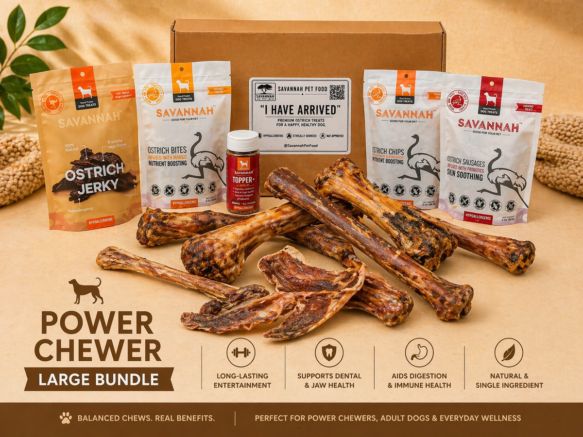 Dog Treat Box product image 1