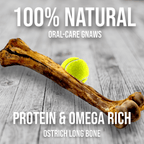 Dog Treat Box product image 2