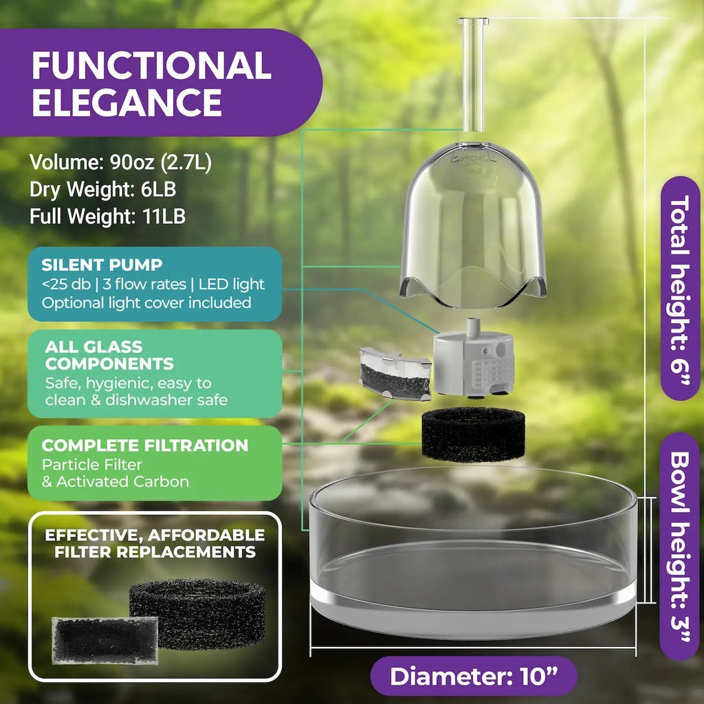 All-Glass Pet Water Fountain product image 5