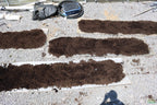 Planted Aquarium Soil Base Layer product image 16