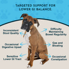 Pet Digestive Tonic product image 3