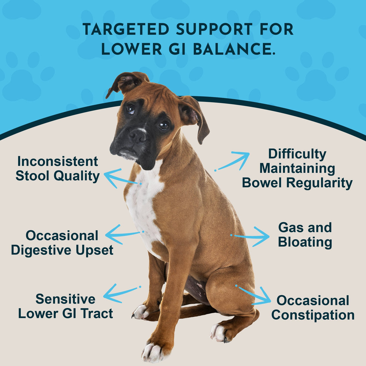 Pet Digestive Tonic product image 3
