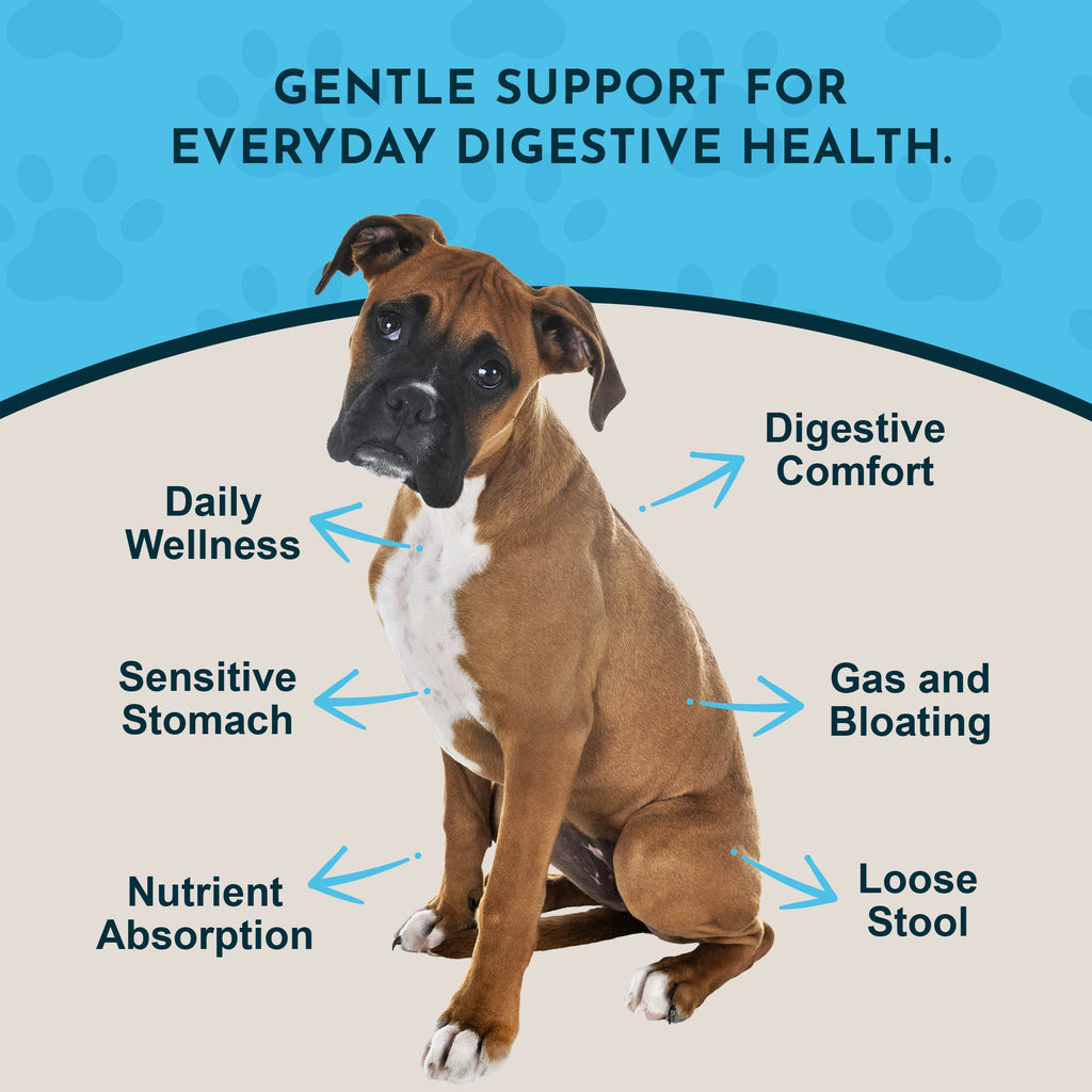 Herbal Digestive Tonic product image 3
