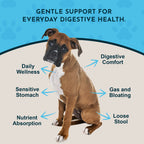 Herbal Digestive Tonic product image 3