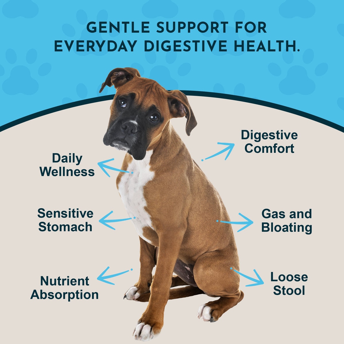 Herbal Digestive Tonic product image 3