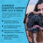 Herbal Digestive Tonic product image 6