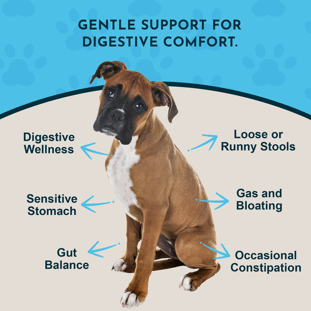 Pet Digestive Aid product image 3