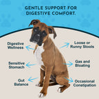 Pet Digestive Aid product image 3
